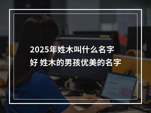 2025年姓木叫什么名字好 姓木的男孩优美的名字