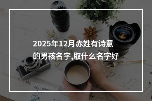 2025年12月赤姓有诗意的男孩名字,取什么名字好