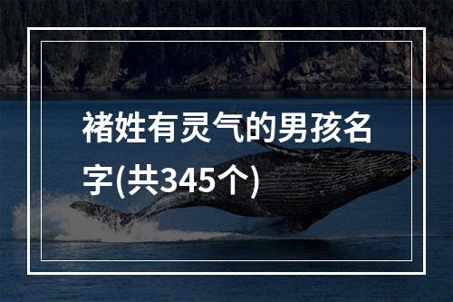 褚姓有灵气的男孩名字(共345个)