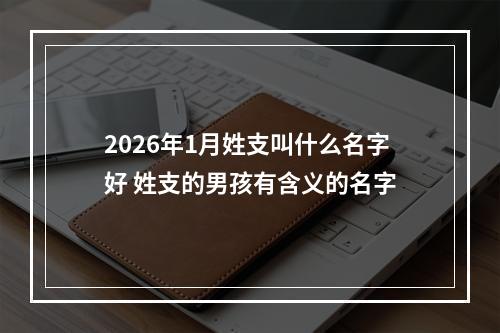2026年1月姓支叫什么名字好 姓支的男孩有含义的名字