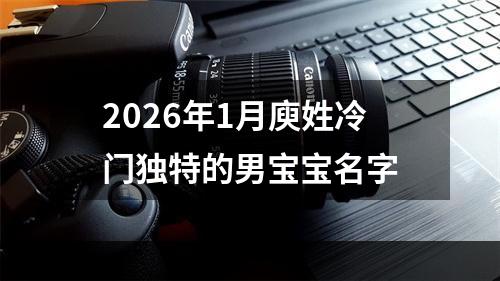2026年1月庾姓冷门独特的男宝宝名字