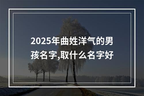 2025年曲姓洋气的男孩名字,取什么名字好