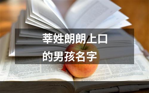 莘姓朗朗上口的男孩名字