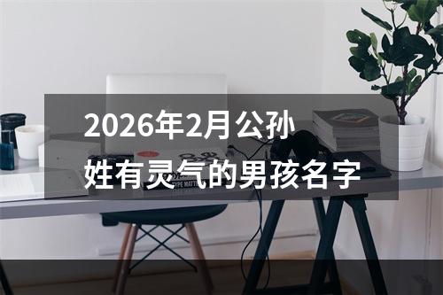 2026年2月公孙姓有灵气的男孩名字