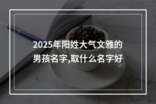 2025年阳姓大气文雅的男孩名字,取什么名字好