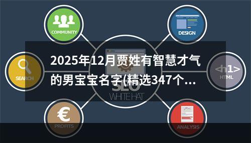 2025年12月贾姓有智慧才气的男宝宝名字(精选347个)