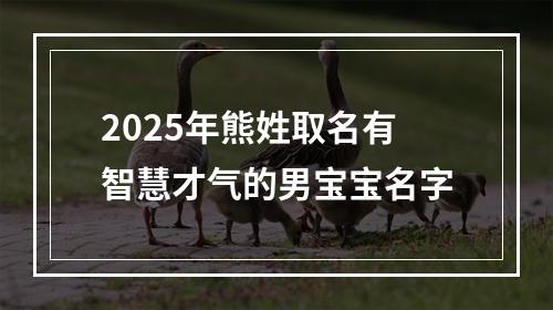 2025年熊姓取名有智慧才气的男宝宝名字