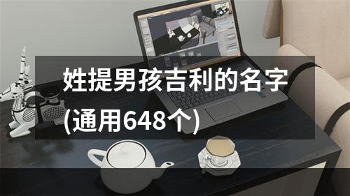 姓提男孩吉利的名字(通用648个)