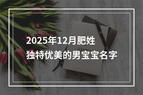 2025年12月肥姓独特优美的男宝宝名字