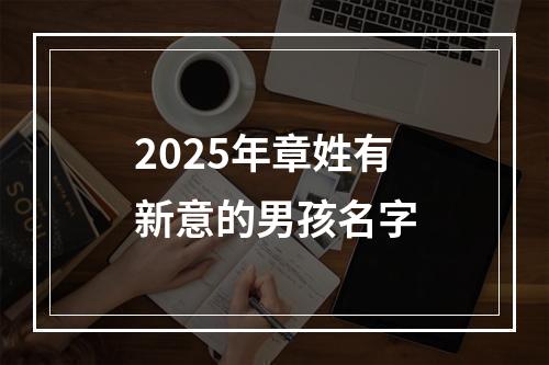 2025年章姓有新意的男孩名字