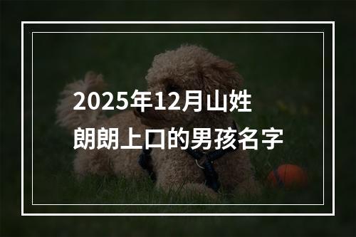 2025年12月山姓朗朗上口的男孩名字