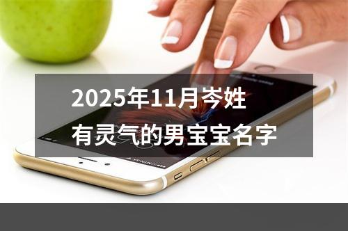 2025年11月岑姓有灵气的男宝宝名字