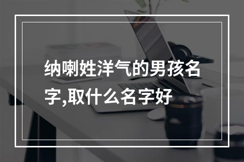 纳喇姓洋气的男孩名字,取什么名字好