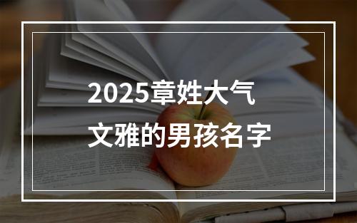 2025章姓大气文雅的男孩名字