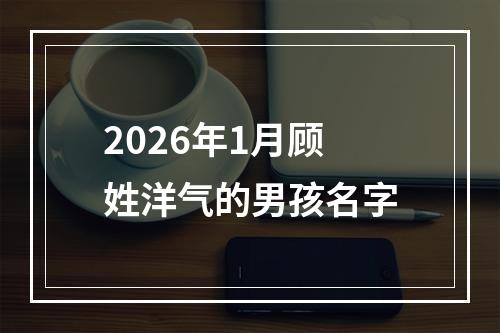 2026年1月顾姓洋气的男孩名字