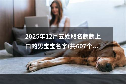 2025年12月五姓取名朗朗上口的男宝宝名字(共607个)
