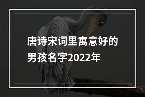 唐诗宋词里寓意好的男孩名字2022年
