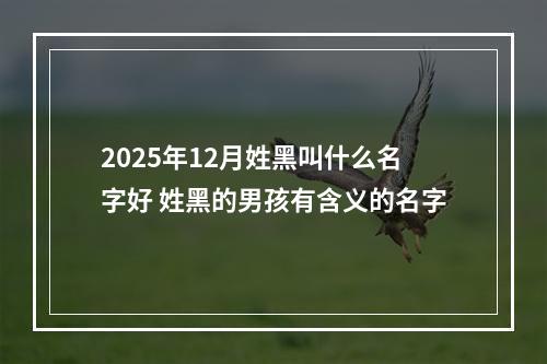 2025年12月姓黑叫什么名字好 姓黑的男孩有含义的名字