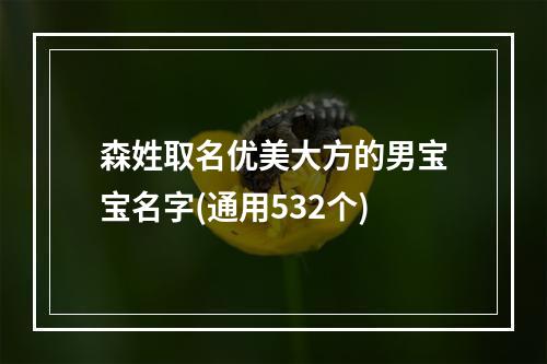 森姓取名优美大方的男宝宝名字(通用532个)