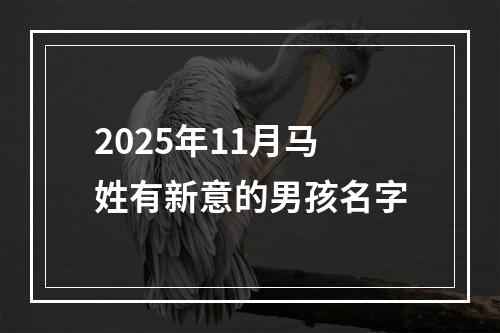 2025年11月马姓有新意的男孩名字