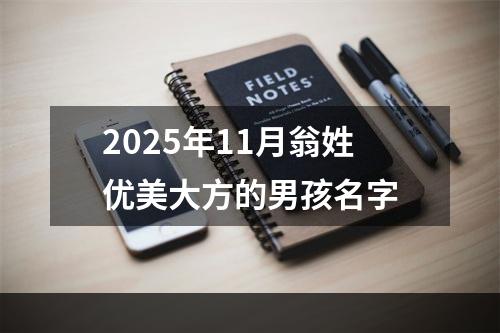 2025年11月翁姓优美大方的男孩名字