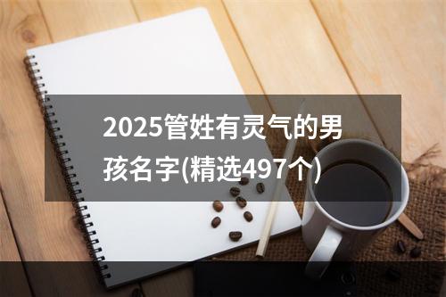 2025管姓有灵气的男孩名字(精选497个)