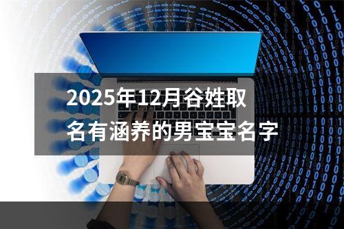 2025年12月谷姓取名有涵养的男宝宝名字