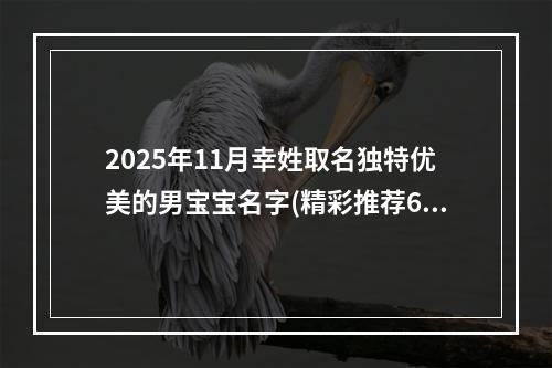2025年11月幸姓取名独特优美的男宝宝名字(精彩推荐636个)