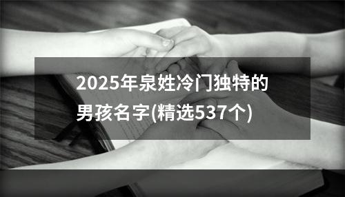 2025年泉姓冷门独特的男孩名字(精选537个)