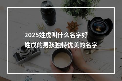 2025姓戊叫什么名字好 姓戊的男孩独特优美的名字