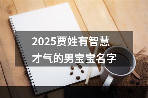 2025贾姓有智慧才气的男宝宝名字
