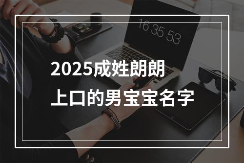 2025成姓朗朗上口的男宝宝名字