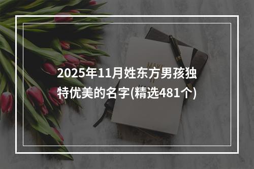 2025年11月姓东方男孩独特优美的名字(精选481个)