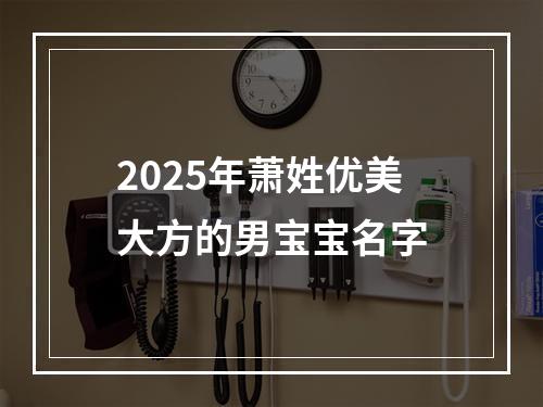 2025年萧姓优美大方的男宝宝名字