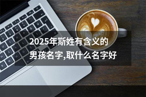 2025年斯姓有含义的男孩名字,取什么名字好