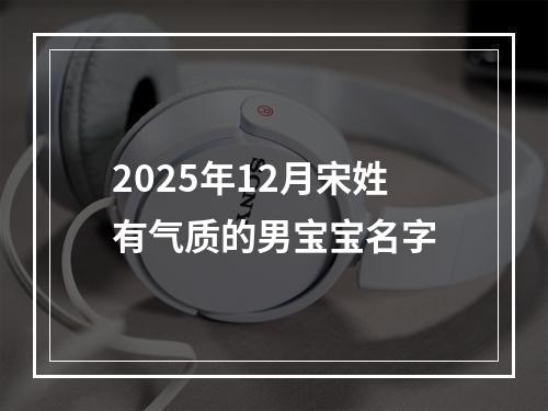 2025年12月宋姓有气质的男宝宝名字