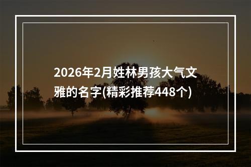 2026年2月姓林男孩大气文雅的名字(精彩推荐448个)