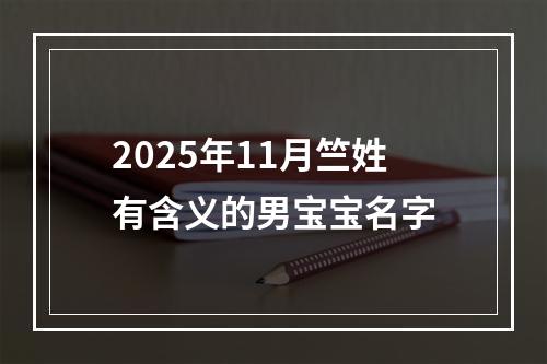 2025年11月竺姓有含义的男宝宝名字