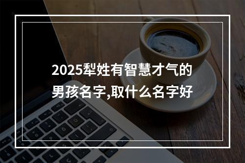 2025犁姓有智慧才气的男孩名字,取什么名字好