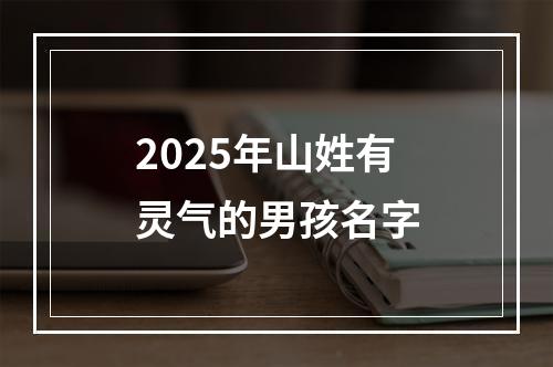 2025年山姓有灵气的男孩名字