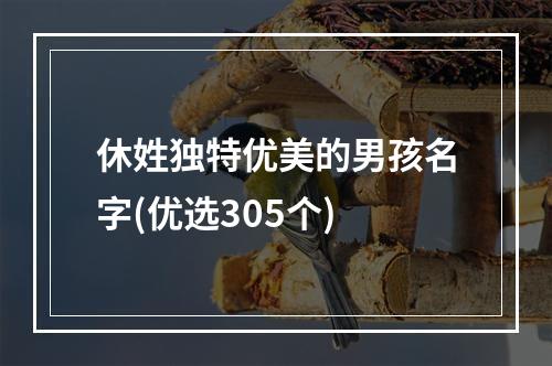 休姓独特优美的男孩名字(优选305个)