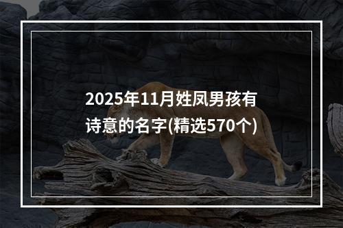 2025年11月姓凤男孩有诗意的名字(精选570个)