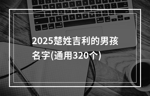 2025楚姓吉利的男孩名字(通用320个)