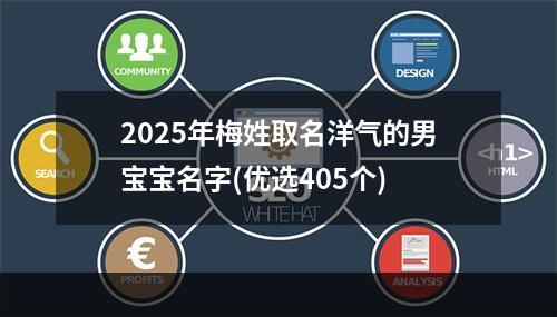 2025年梅姓取名洋气的男宝宝名字(优选405个)