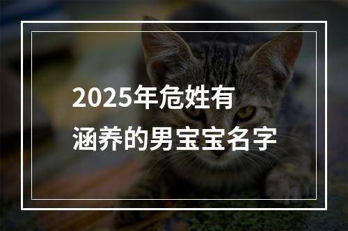 2025年危姓有涵养的男宝宝名字