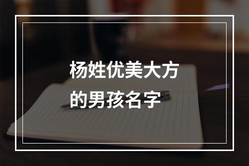 杨姓优美大方的男孩名字