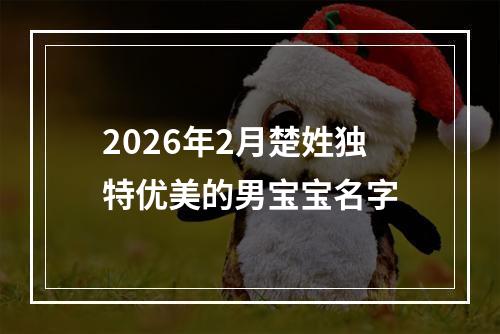 2026年2月楚姓独特优美的男宝宝名字