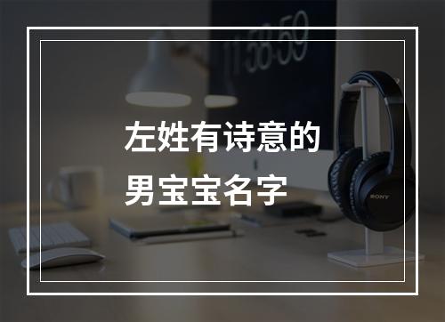 左姓有诗意的男宝宝名字
