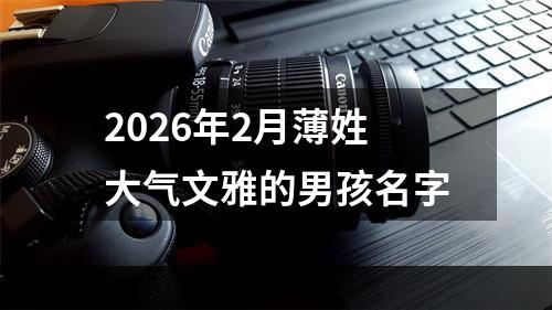 2026年2月薄姓大气文雅的男孩名字