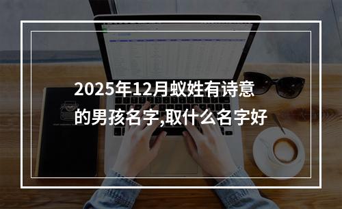 2025年12月蚁姓有诗意的男孩名字,取什么名字好